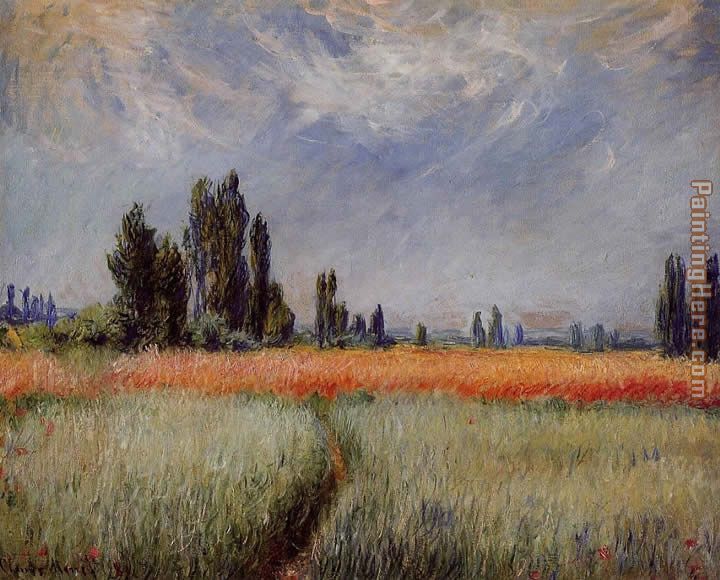 Field of Corn